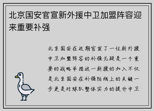 北京国安官宣新外援中卫加盟阵容迎来重要补强